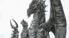 Dragons drawings