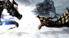 Dragons fight the elder scrolls v skyrim the elder scrolls 