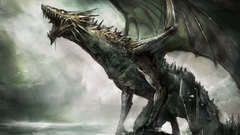 Dragons grey artwork