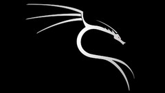 Dragons Linux BackTrack BackTrack 5