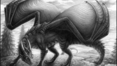 Dragons monochrome drawings