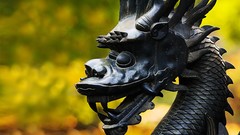 Dragons statues depth of field