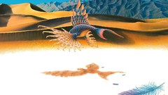 Draw fish phoenix shadow