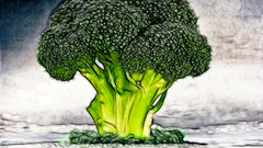 Drawings broccoli