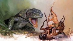 Drawings fantasy art