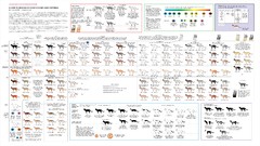 Drawings infographics