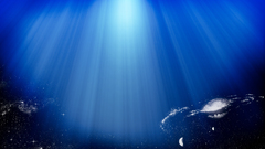 Dream like fangelith gelith