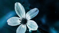 Dream like high Resolution