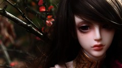 Dream of Doll ball joint doll