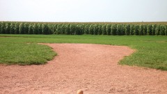 Dreams baseball cornfield plains