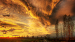 Dreams nature Trees clouds roads reality