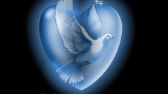 Dreams red love Hearts valentines day amour