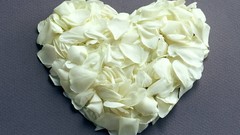 Dreams red love Hearts valentines day amour