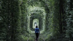 Dreamy railroad tracks hedges