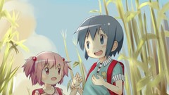 Dress blue hair pink