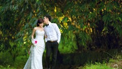 Dress couple brides wedding dresses weddings