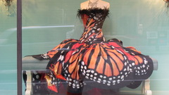 Dress fashion Butterflies