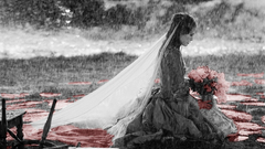 Dress Flowers selective coloring