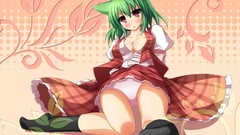 Dress red eyes blush anime girls green hair touhou kazami yuuka 