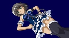 Dress stockings hayate no