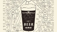Drinks beers infographics