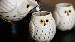 Drinks cups Owls