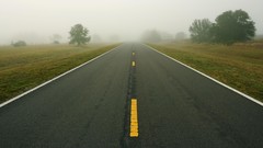 Drive morning Florida