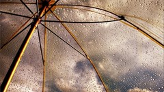 Drops clouds rain Umbrellas water drops