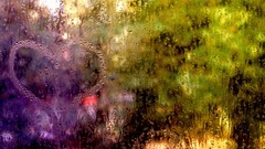 Drops rain surface window