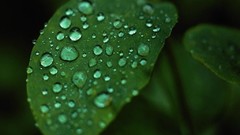 Drops rain weather some possible epic