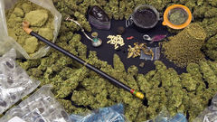 Drugs marijuana