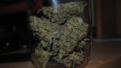 Drugs marijuana