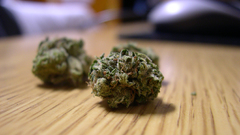 Drugs marijuana pot