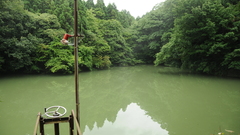 Dsc absolute stillness still