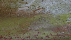 Dsc Another texture feel