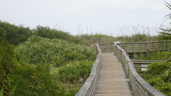 Dsc dumping took Today