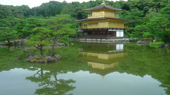 Dsc dumping vacation high