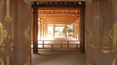 Dsc dumping vacation thx