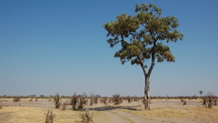 Dsc hello again took