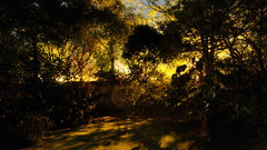 Dsc slow Shutter Speed