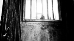 Dsc Taken This morning