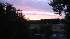 Dsc The hague Netherlands