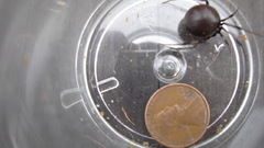 Dscfound This dude in