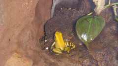 Dscn these are closely