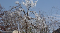 Dscsprinkler busted at The