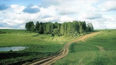 Dual forest high nature