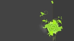 Dual screen abstract flower