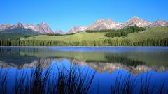 Dual screen Lake pond