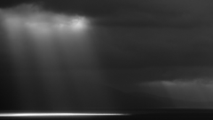 Dual screen monochrome