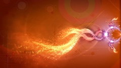 Dualwp1a post here dual